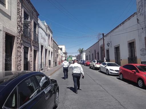 Giros “rojos” deberán contratar los servicios de la Policía Auxiliar