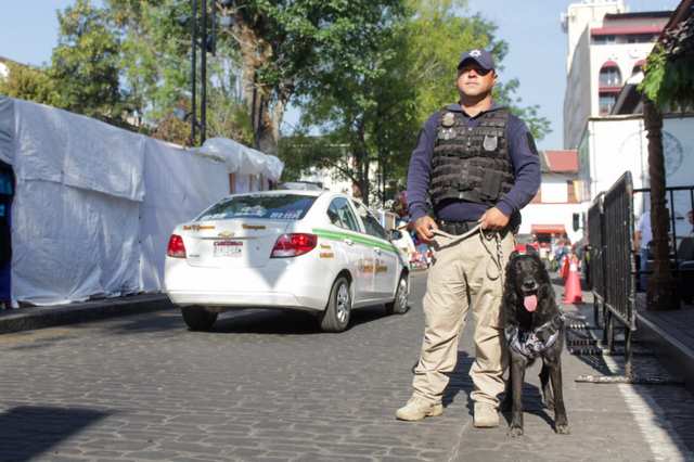 Con saldo blanco, miles de ciudadanos disfrutaron el tradicional Desfile de los Artesanos