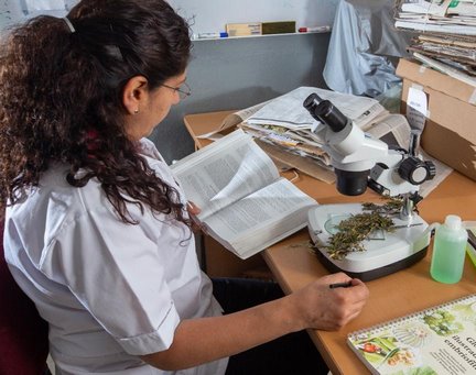Alrededor de dos mil actividades se realizarán en el Tianguis de la Ciencia de la UMSNH