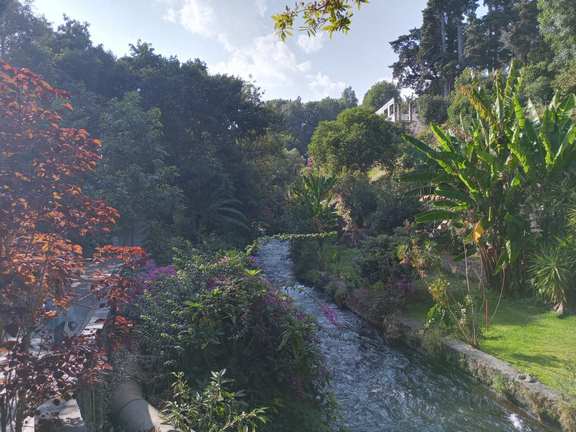 Río Cupatitzio, el escandaloso y trasparente del corazón de Uruapan