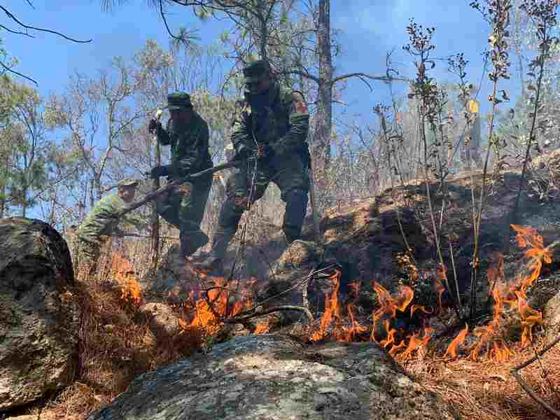 Ocupa Michoacán 4º lugar nacional en incendios forestales