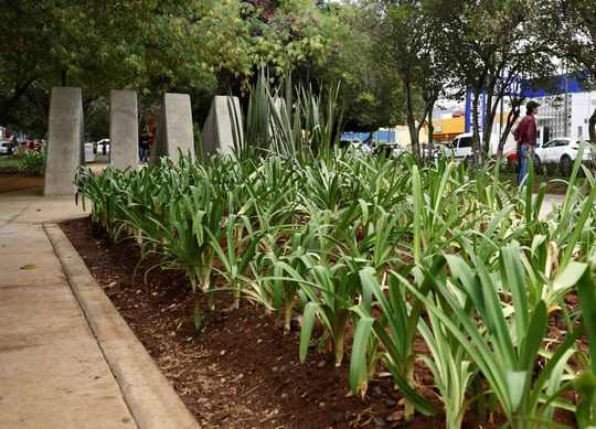 Están bien invertidos en obras los recursos con participación del FAEISPUM: AMA