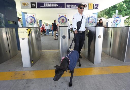 UMSNH adopta caninos para fortalecer la vigilancia en Ciudad Universitaria
