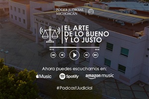 Supervisar el cumplimiento de la pena, actividad principal de las juezas y jueces de ejecución de sanciones penales: magistrada penalista