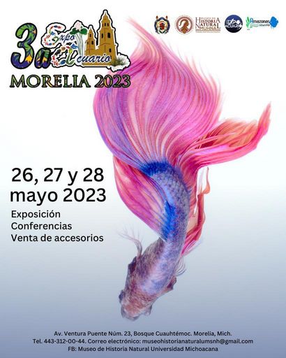 MUHNA de la UMSNH será sede de la tercera Expo Acuario Morelia