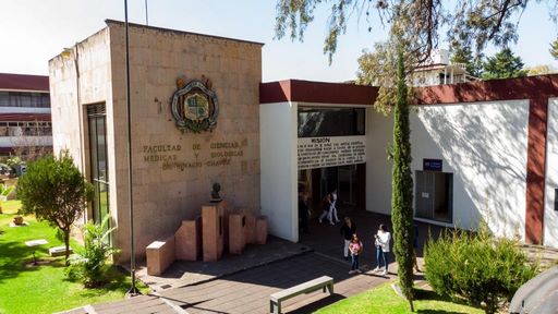 CONAHCYT avala proyecto de investigación nicolaita sobre enfermedades renales crónicas