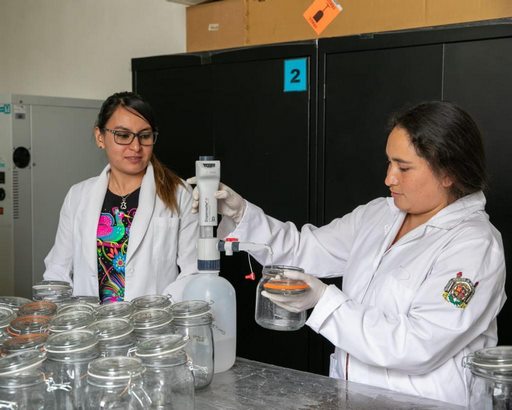 Crea Universidad Michoacana oficina de Protección Intelectual e Industrial