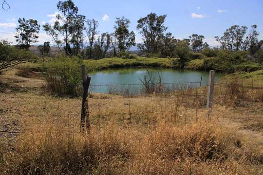 Invita Bladimir González a conocer Área Natural Protegida de Tarímbaro