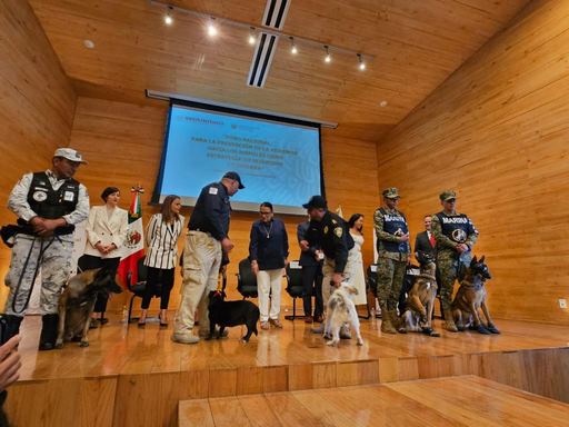Gobierno de Tarímbaro continúa fortaleciendo acciones para la protección animal