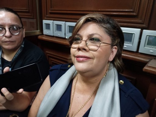 Alacranes y cucarachas abundan en el Congreso de Michoacán