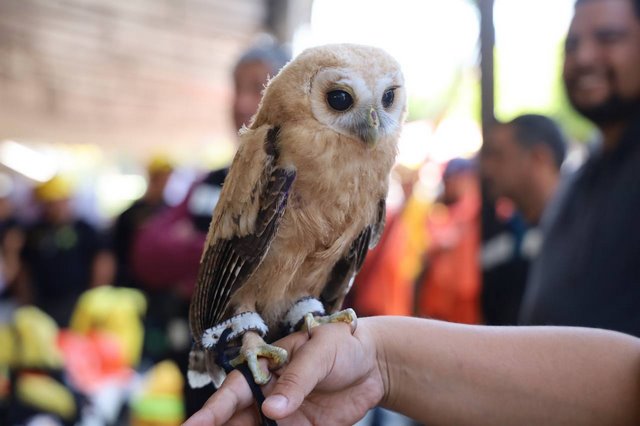 Gobierno Municipal celebra el 12° Eco Fest