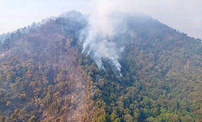 Más de 400 brigadistas combaten incendio forestal en cerro Grande