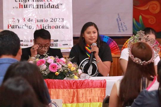 ¿Qué es lo que ocultamos? Pide Celeste Ascencio mayor transparencia y respeto a las acciones afirmativas