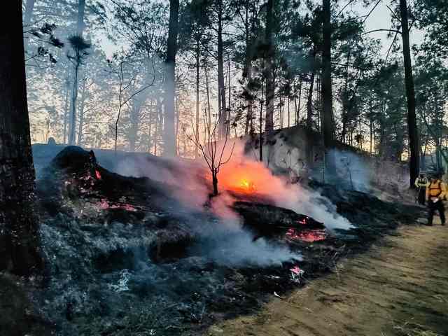 Brigadistas municipales controlan incendio en cerro de La Charanda
