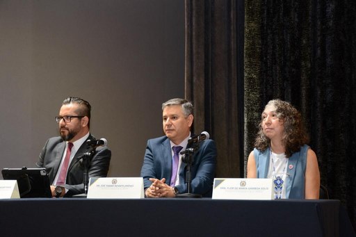 UMSNH genera sinergia con universidades del país para fomentar la Cultura de la Paz