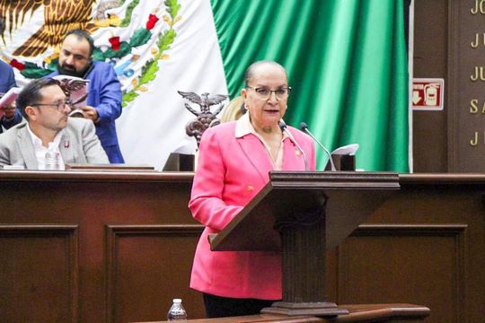 Recursos de Fondo Auxiliar deben destinarse a reparación de daño: Julieta Gallardo