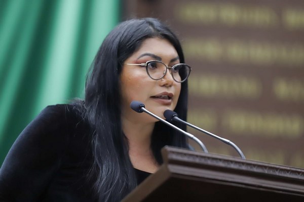 Ley de parto respetado eliminaría violencia obstétrica: Brenda Fraga