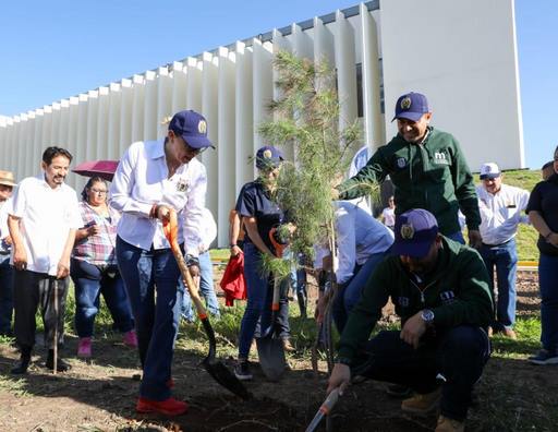 En equipo, personal de la UMSNH reverdece Ciudad Universitaria