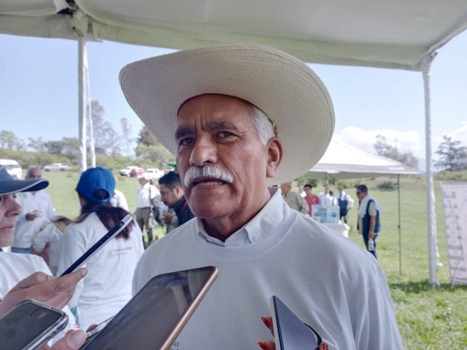 Sequía deja pérdidas en el campo y árbol estresado en Michoacán