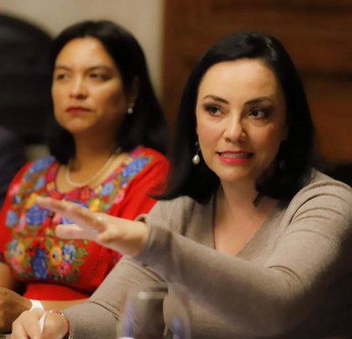 Delitos en contra de menores de edad han aumentado más del 15 por ciento en México: Diputada Adriana Hernández