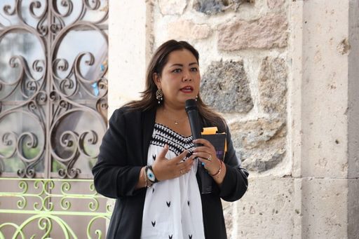 Espera IMMUJERIS recursos federales para Alerta de Género