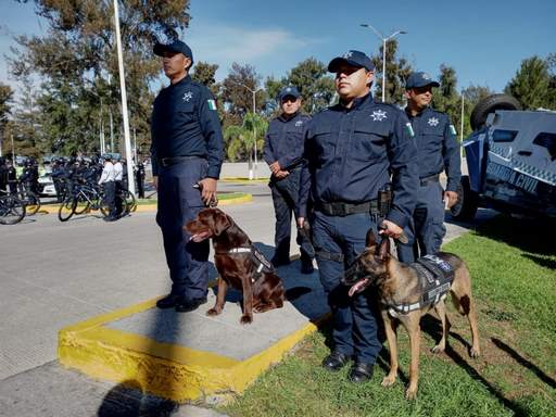 Destaca Bedolla reducción de homicidios en Michoacán a un año de creación de la Guardia Civil