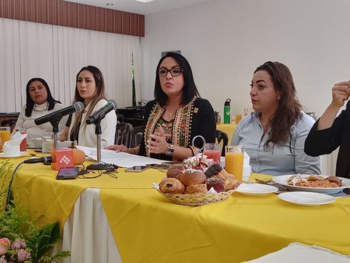 Mujeres, adultos mayores y personas con discapacidad prioridad para Guadalupe Díaz Chagolla