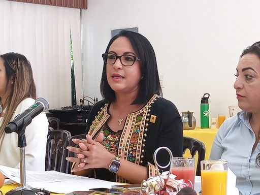 Comisión Inspectora apenas verá el mecanismo de contratación de despachos jurídicos: Díaz Chagolla