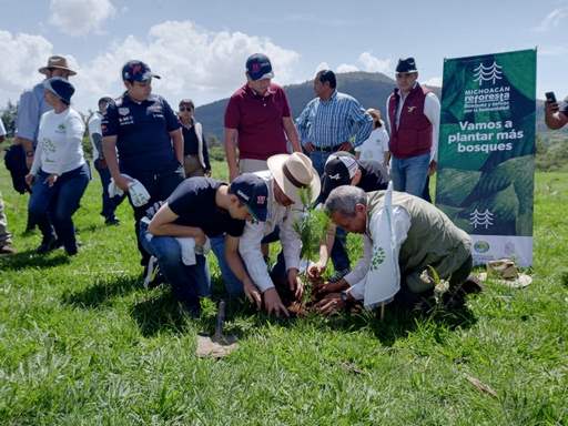 Inicia Michoacán la temporada de reforestación; un millón 200 mil arbolitos a plantar