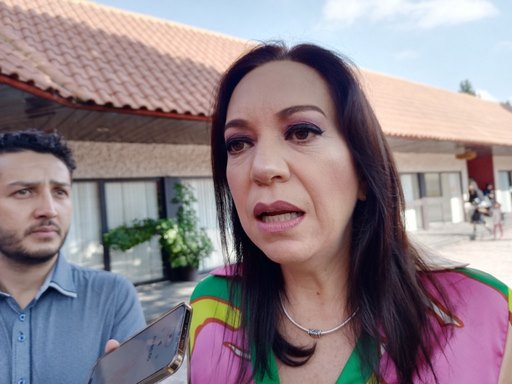 Realizar un viaje, justificación de la retención y saqueo de mercancía comercial por normalistas; solo hubo llamada de atención: Mariana Sosa