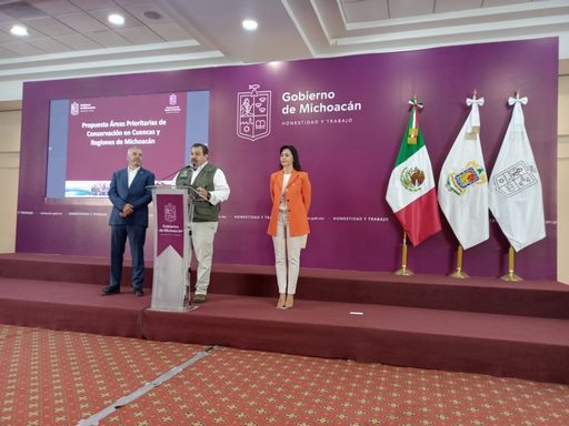 Tumbiscatío y Arteaga, municipios con saqueo de madera por el crimen organizado: SEMA