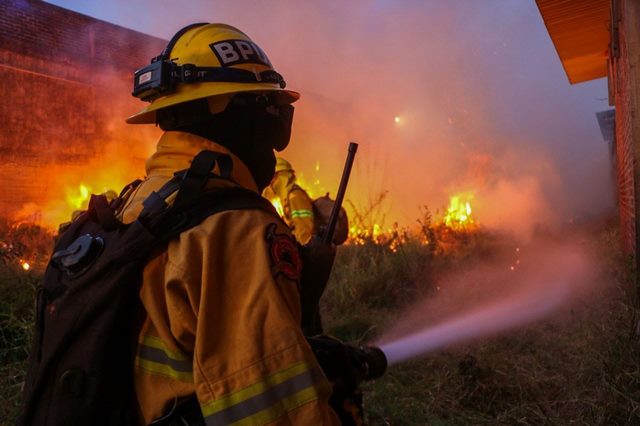 Destaca Seduma avances en materia ambiental durante segundo año de gobierno