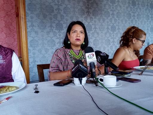 Anuncia Eréndira Isauro Hernández retorno a la bancada de Morena