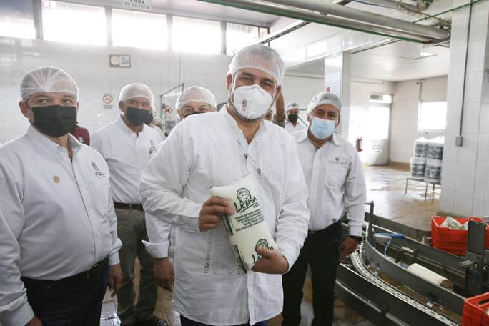 Aumenta 148% captación de leche de ganaderos michoacanos en Liconsa: Bedolla
