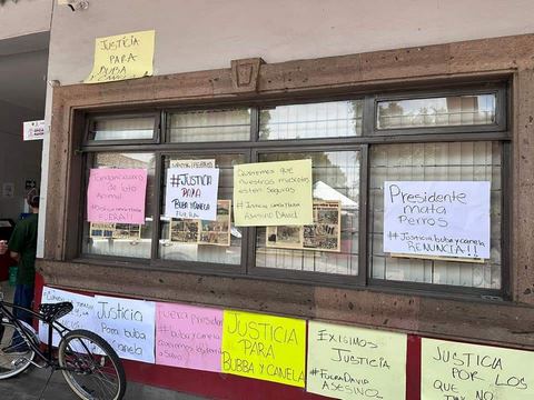 Hasta dos años de cárcel por matar a animales: Código Penal de Michoacán