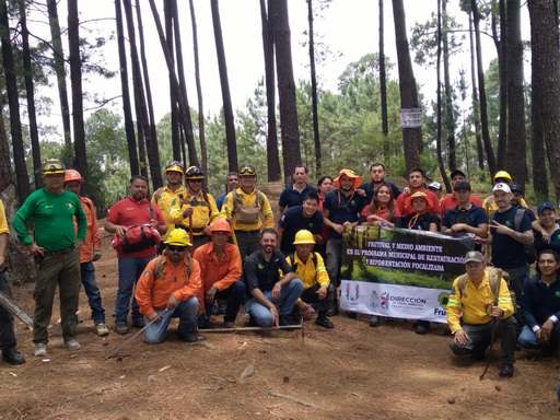 Medio Ambiente municipal y Frutival trabajan en restauración del cerro de la Charanda