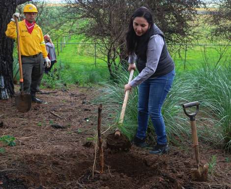 Yadira Ramírez encabeza jornada de reforestación en el Icatmi de Corupo