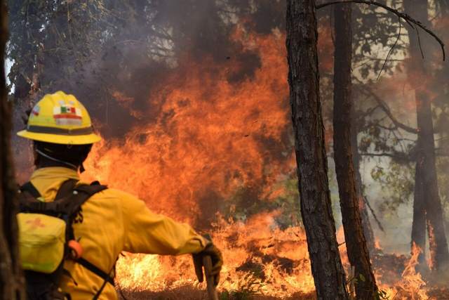 Gobierno de Bedolla dio apoyo histórico para combatir incendios forestales