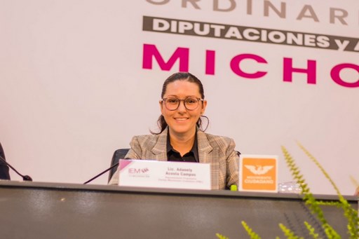 El IEM debe velar por la democracia electoral: Movimiento Ciudadano