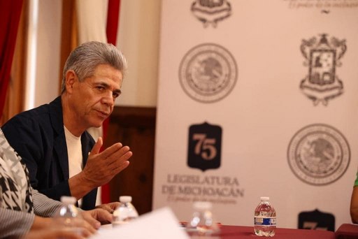 Proyecto de PEF de 2024 castiga a Michoacán: Hernández Peña 