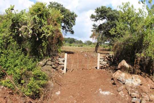 Trabaja Gobierno Municipal en protección del agua y el campo