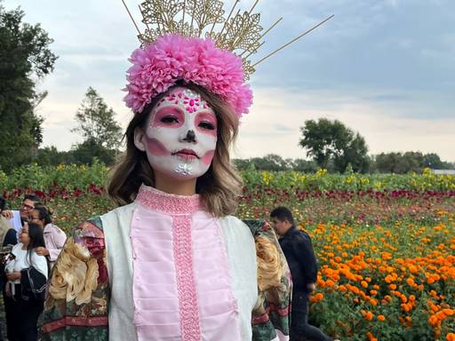 Tarímbaro listo para mostrar su grandeza a través de recorridos durante su Fiesta de la Flor de Cempasúchil