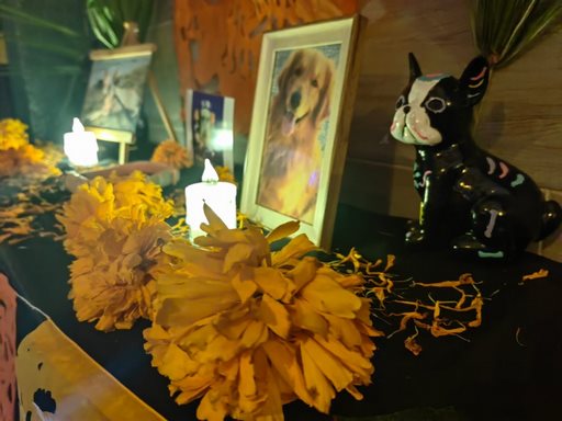 Realizan en Coatzacoalcos, el Primer Altar para honrar la memoria de los animales de compañía que han trascendido