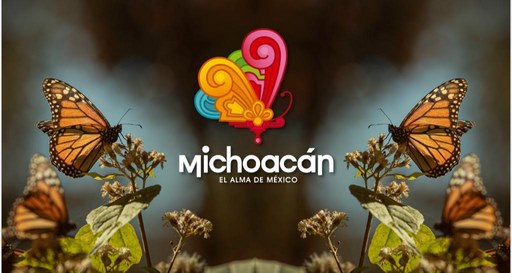 Se vivirá en Noviembre la temporada de la Mariposa Monarca