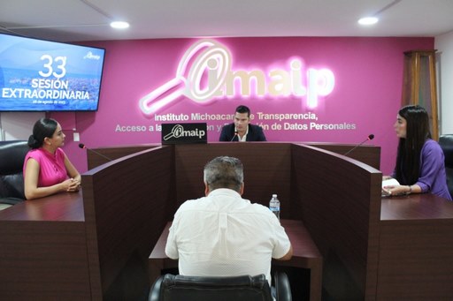 Modifica IMAIP su procedimiento de verificaciones a fin de coadyuvar con el buscador de género de la Plataforma Nacional de Transparencia