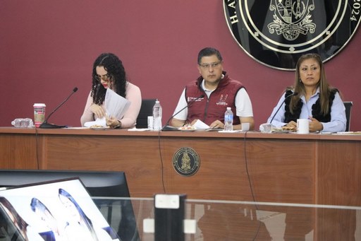 Cabildo advierte incremento de casos de dengue en Uruapan