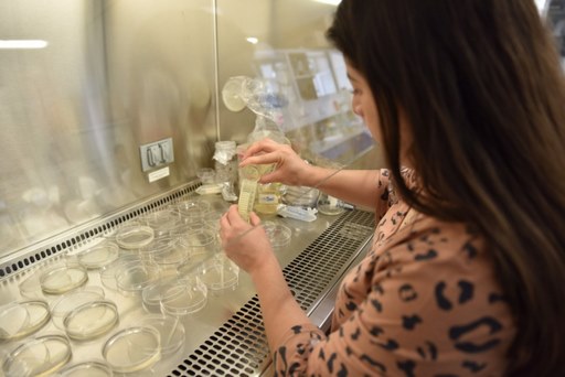 Nuevo impulso para la ciencia en la UMSNH; avalan 54 proyectos con inversión de 8.6 mdp