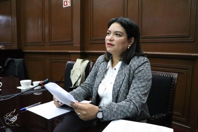 Propone Eréndira Isauro internamiento para jóvenes adultos que cometan delitos graves