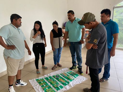 Capacitados casi 4 mil operadores para garantizar seguridad de mujeres en el transporte