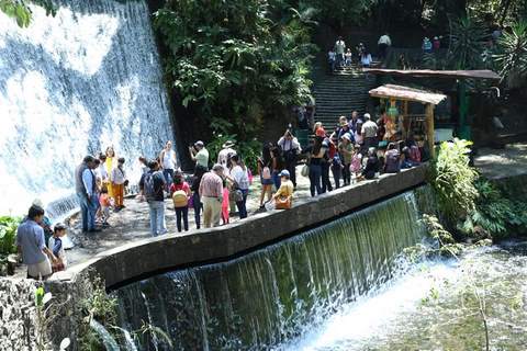 Afluencia al Parque Nacional aumentó 30% en 2023